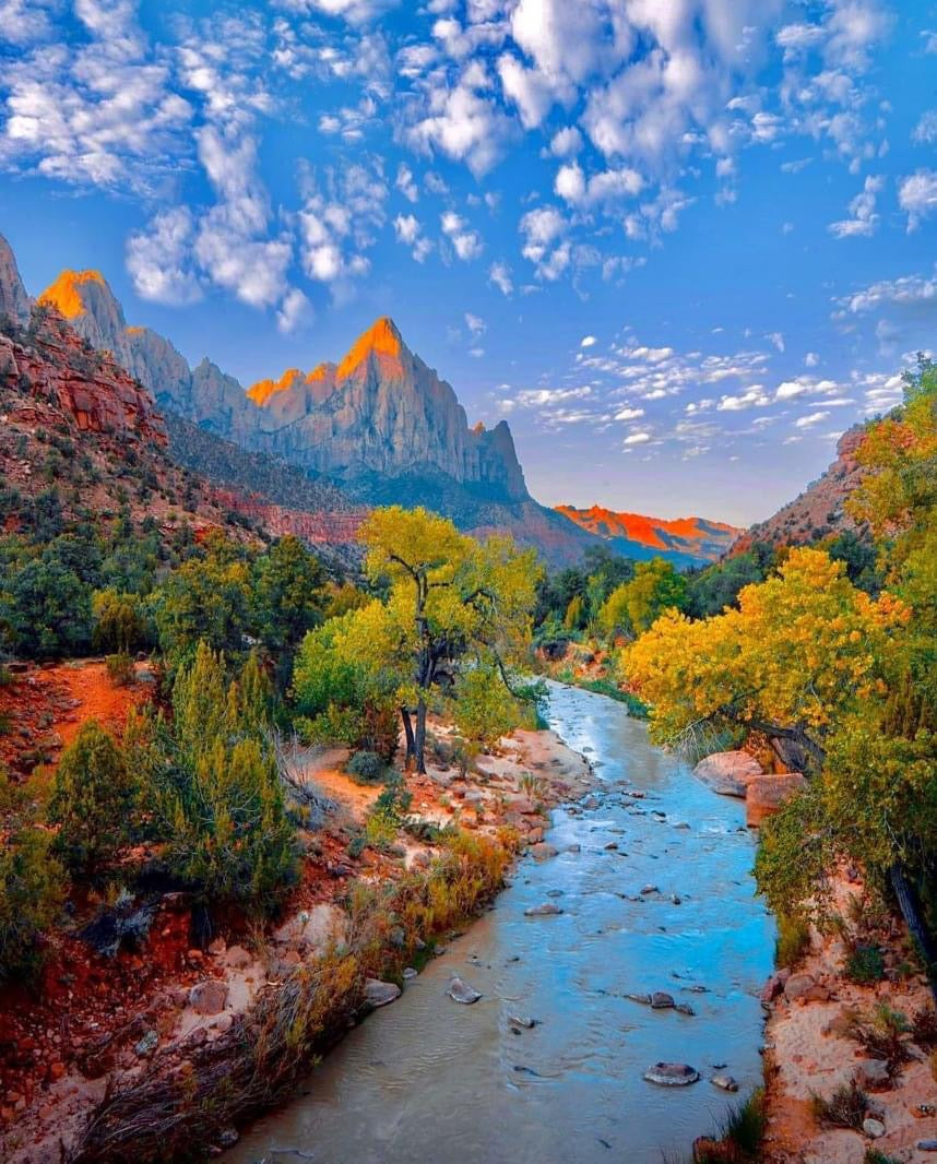Unlocking Zion: 5 Insider Tips for a Hidden Adventure